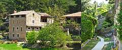 Domaine du Taillé (Vesseaux/France)