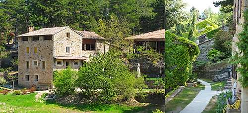 Domaine du Taillé (Vesseaux/France)