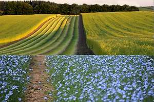 Discover why linen is so fantastic to sleep on