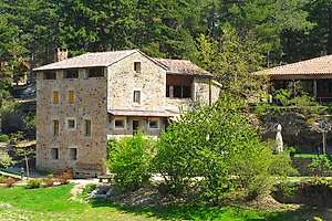 Domaine du Taillé (Vesseaux/France)