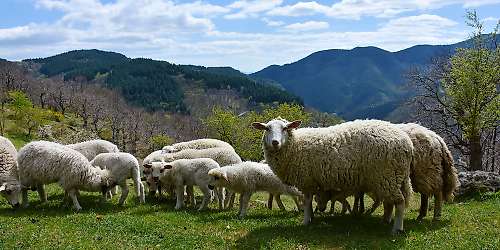Depuis le champ jusqu'à l'atelier, la traçabilité n'a pas de secret. : Fiers de nos origines