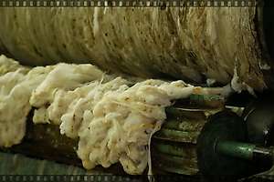 Video of the wool scouring in Vučje for Revolana