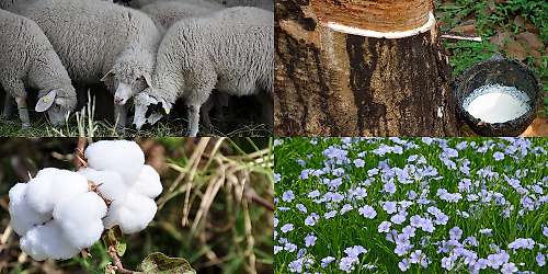 Laine, Latex, Coton Bio et Lin : 4 matières naturelles harmonisées suffisent à votre confort