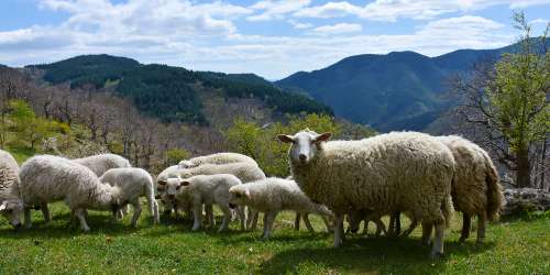 Depuis le champ jusqu'à l'atelier, la traçabilité n'a pas de secret. : Fiers de nos origines