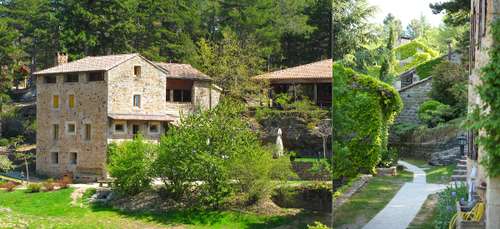 Domaine du Taillé (Vesseaux/France)
