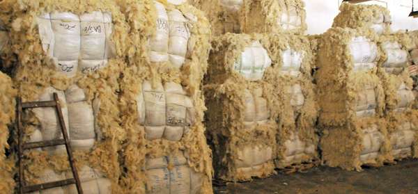 Washed wool balls awaiting shipment to carding (Vučje, Serbia).