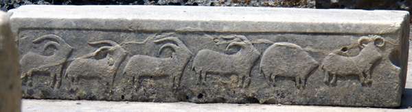 Engraving of goats and sheep, temple of Tarxien, 2400-1500 BC, Gozo Island, Malta (photo Lionel Mestre)
